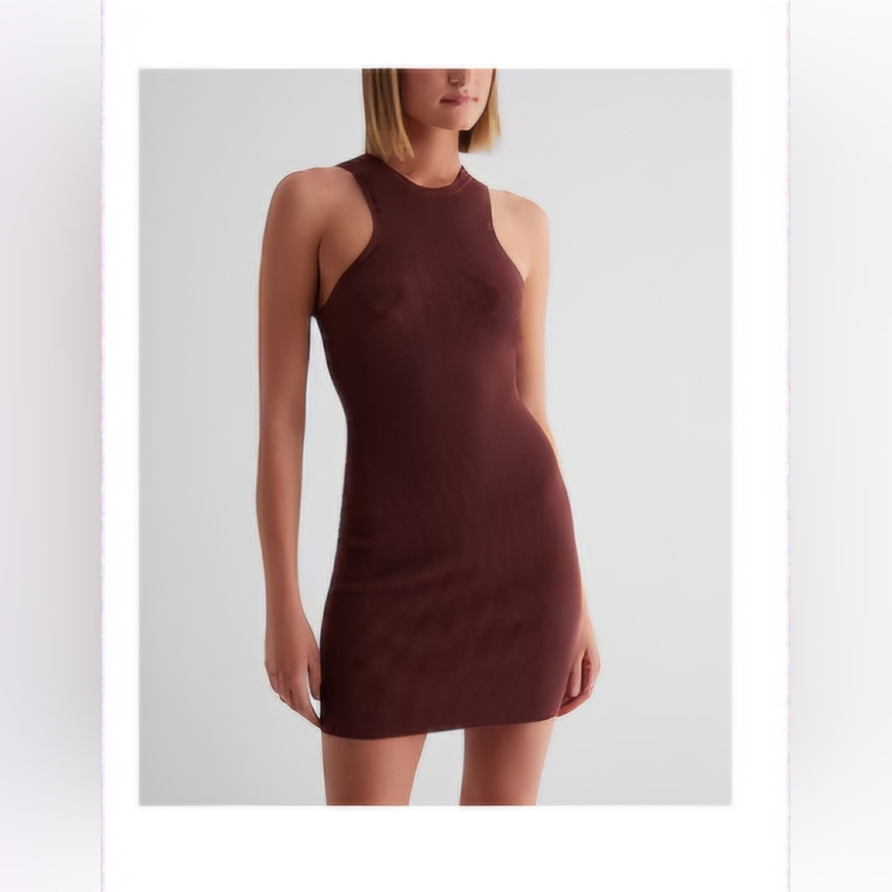 Express Ribbed Mini Sweater Dress in Rum Raisin - Small